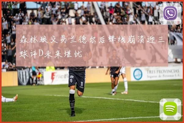 森林狼交易兰德尔后锋线崩溃迎三球评D未来堪忧